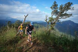 BIB: 
                            <button type="button" onclick="openModal(22373271)" class="btn btn-primary btn-sm float-right btn-popup" data-toggle="modal" data-target=".modal-high-quality">
                        <i class="fas fa-shopping-cart"></i> Add to Cart
                    </button>
                                            <button type="button" onclick="isThisMe(22373271, true)" class="btn btn-success btn-sm float-right btn-popup btn-isme hidden" data-toggle="tooltip" data-placement="bottom" title="นี่คือรูปของคุณใช่ไหม คลิกที่นี่เพื่อเอาเข้าอัลบั้ม">
                        <i class="fas fa-plus"></i> Add to album
                    </button>
                    <button type="button" onclick="isThisMe(22373271, false)" class="btn btn-warning btn-sm float-right btn-popup btn-isnotme hidden">
                        <i class="fas fa-ban"></i> Remove from album
                    </button>